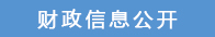 财政信息公开.jpg